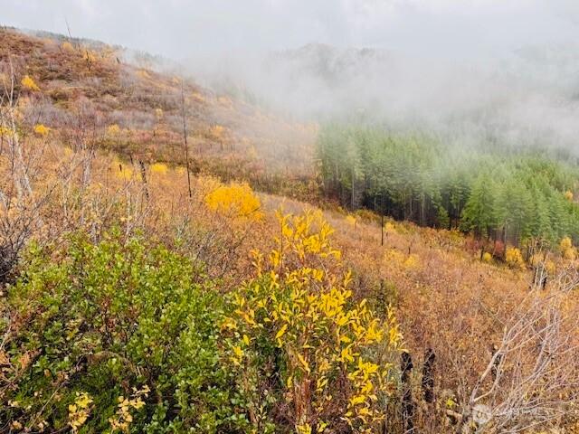 Land for sale in Leavenworth, Washington