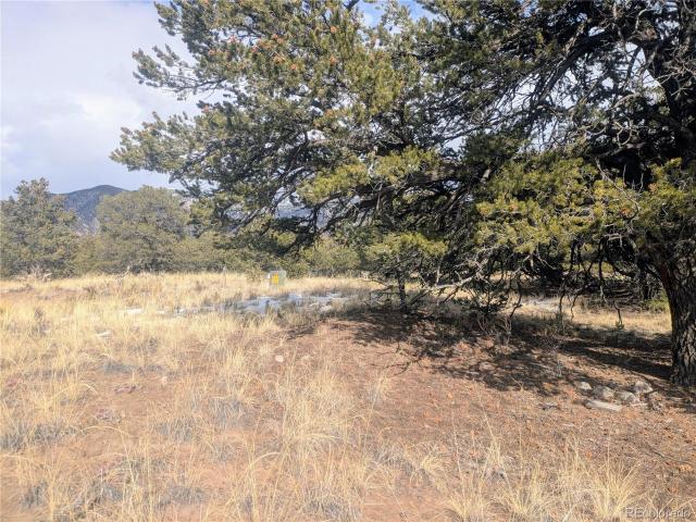 Land for sale in Crestone