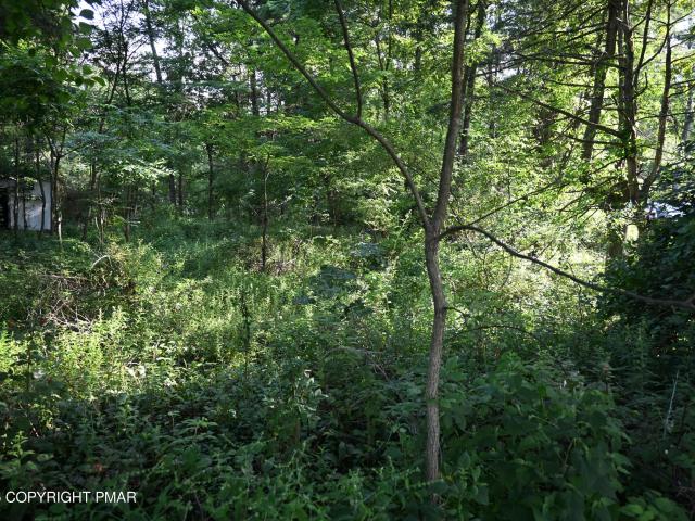 Commercial for sale in Stroudsburg
