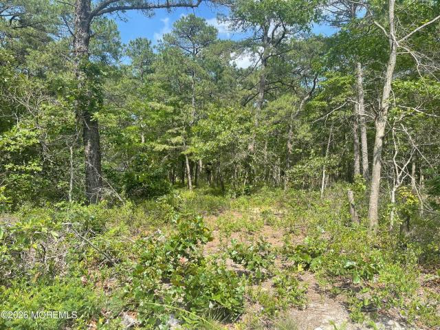 Land for sale in New Jersey