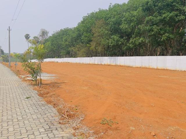 Land for sale in Madya