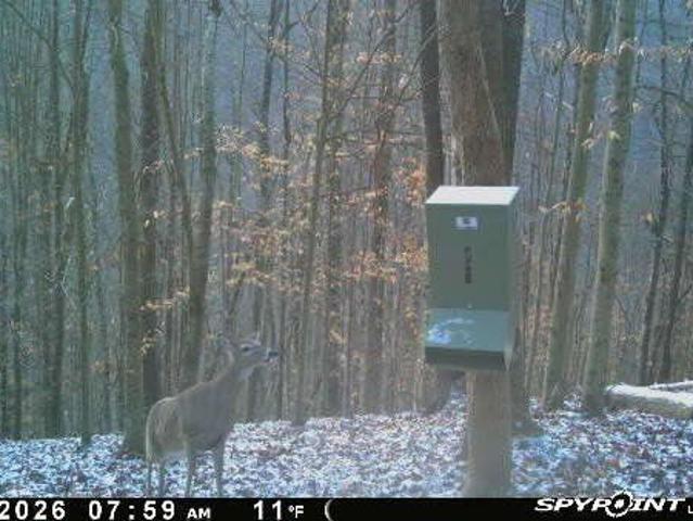 Land for sale in Tennessee