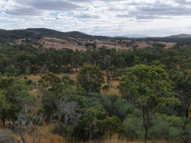 Cottage for sale in Wooderson, Queensland