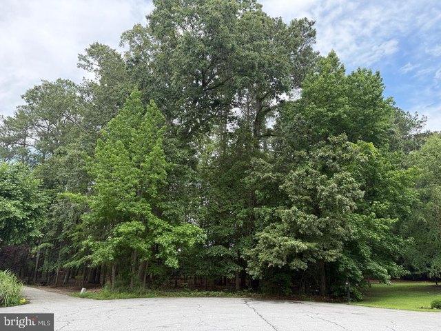 Land for sale in Issue, Maryland