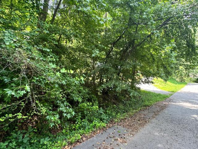 Land for sale in Martin, Georgia