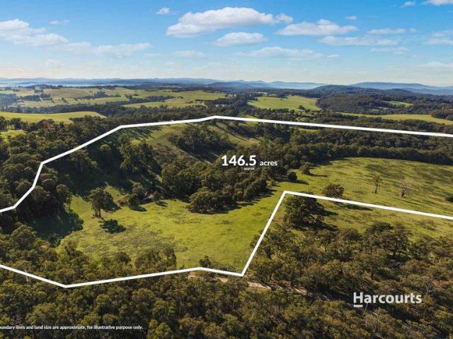 Cottage for sale in Camerons Creek, Victoria