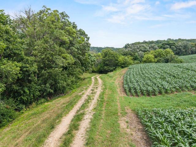 Land for sale in Cross Plains, Wisconsin