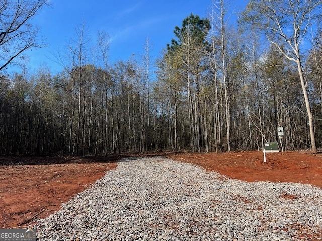 Land for sale in Barnesville, Georgia