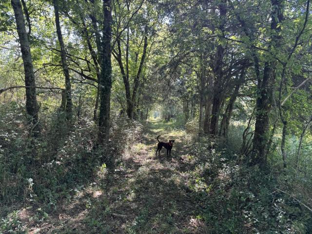 Land for sale in Tennessee