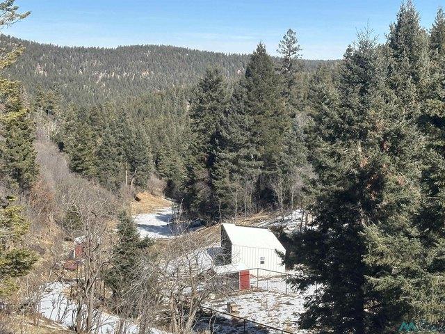 Land for sale in Cloudcroft, New Mexico