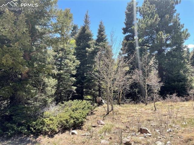 Property for sale in Custer, Colorado