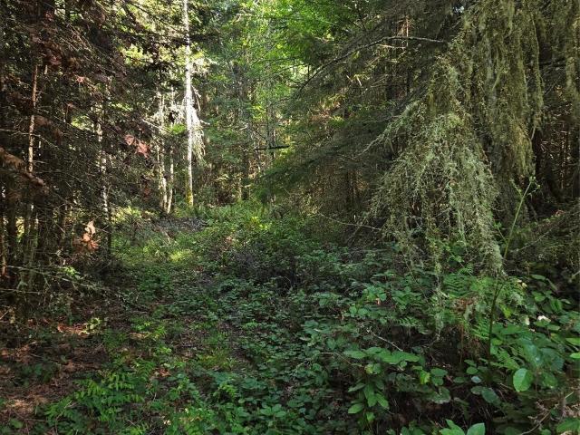 Land for sale in Sequim, Washington