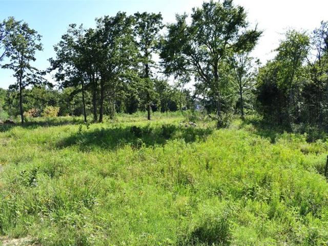 Land for sale in Sulphur Springs, Texas