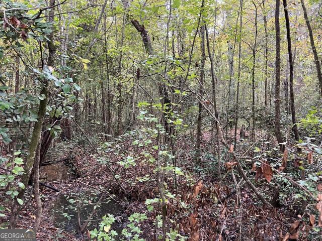 Land for sale in Gray, Jones County