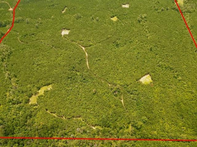 Land for sale in Georgiana, Alabama