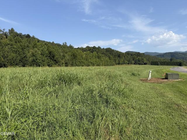 Land for sale in Tennessee