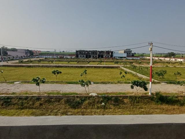 Land for sale in Jharli, Arunachal Pradesh