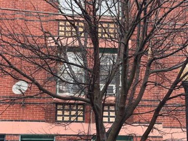 House for sale in Trenton, New Jersey