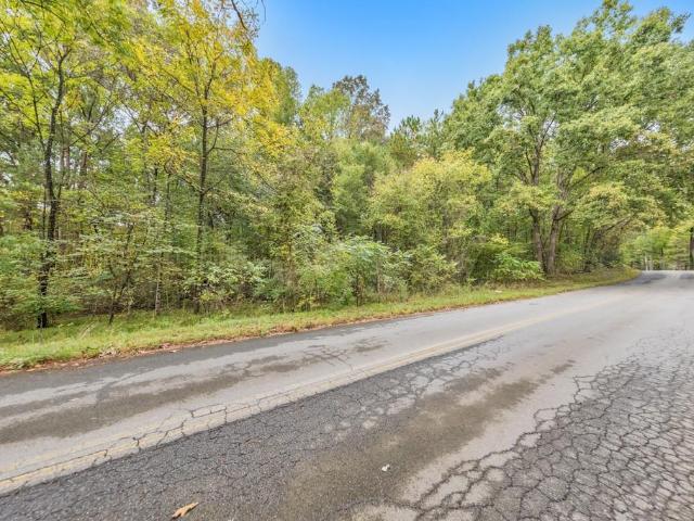 Land for sale in White, Bartow County