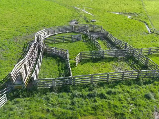 House for sale in Tararua District