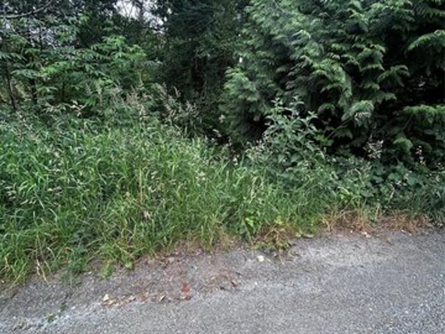 Land for sale in Woodinville, Washington