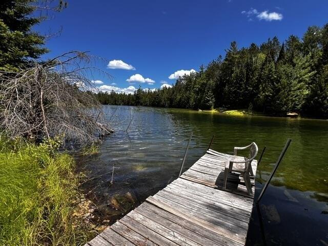 Land for sale in Wolverine, Michigan