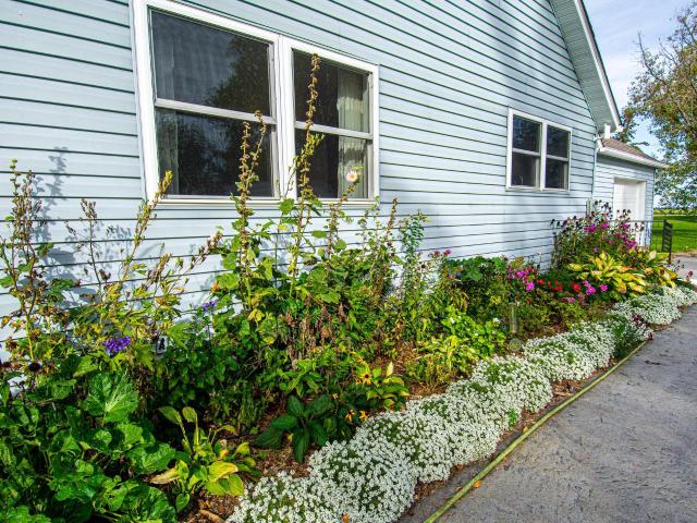 House for sale in Red Lake Falls, Pennington County