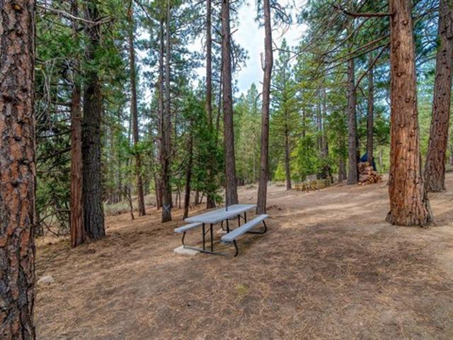 Land for sale in Portola, California