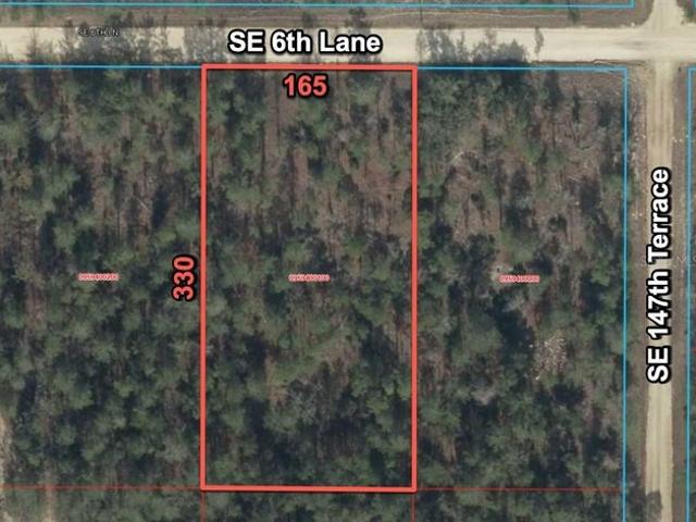 Land for sale in Williston, Levy County