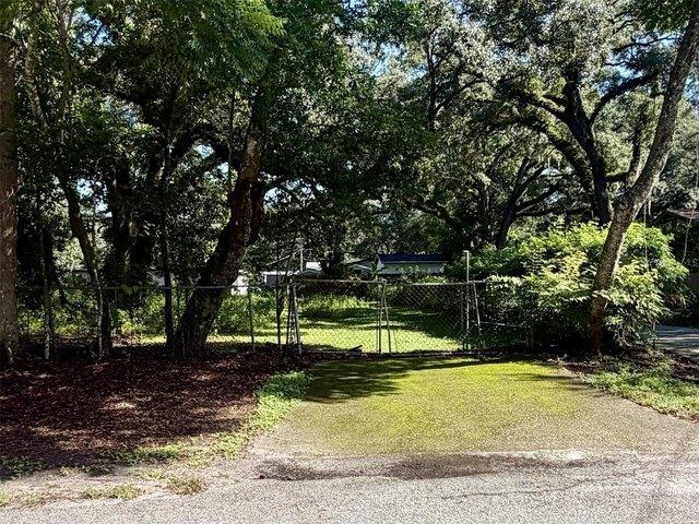 Land for sale in Lutz, Florida