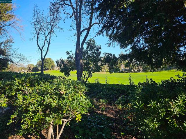 Condo for sale in Walnut Creek, Contra Costa County
