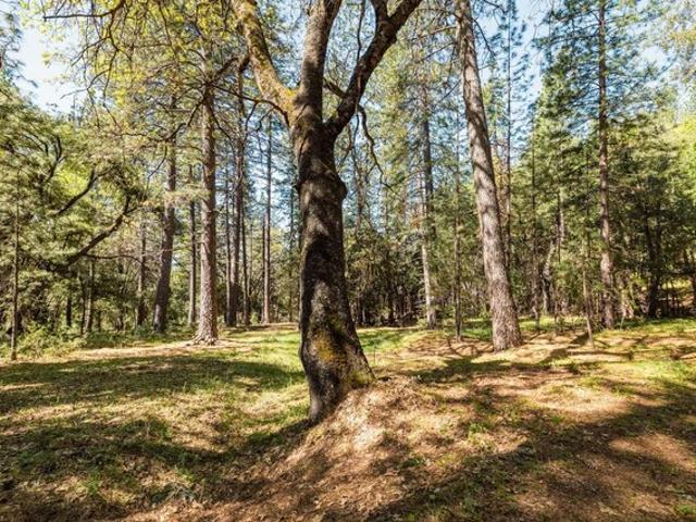 Land for sale in Sonora, California