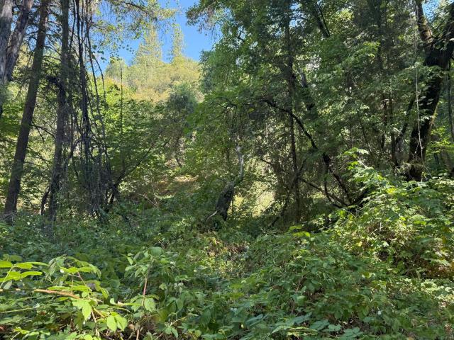 Land for sale in Nevada City, California