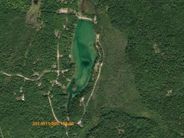 Land for sale in Wolverine, Michigan