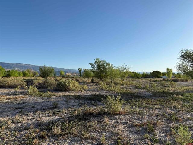 Land for sale in Delta, Colorado