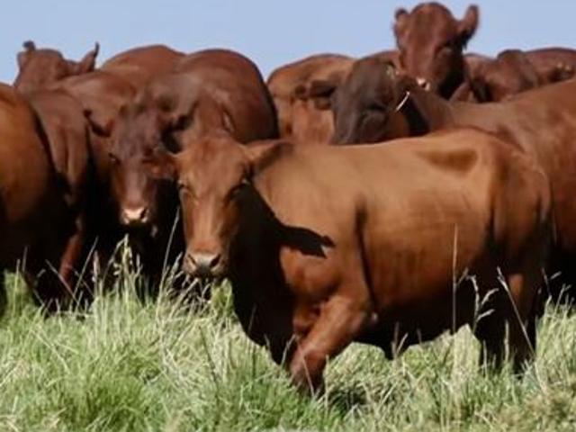 Farm for sale in Dr Ruth Segomotsi Mompati District Municipality, North West