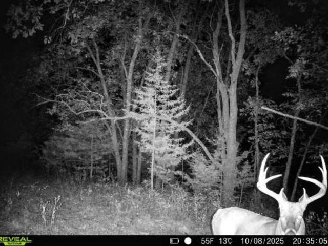 Land for sale in Woodward, Iowa