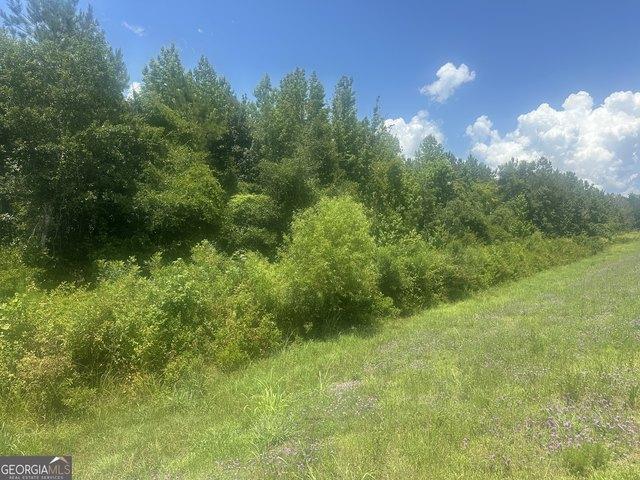 Land for sale in Wadley, Georgia