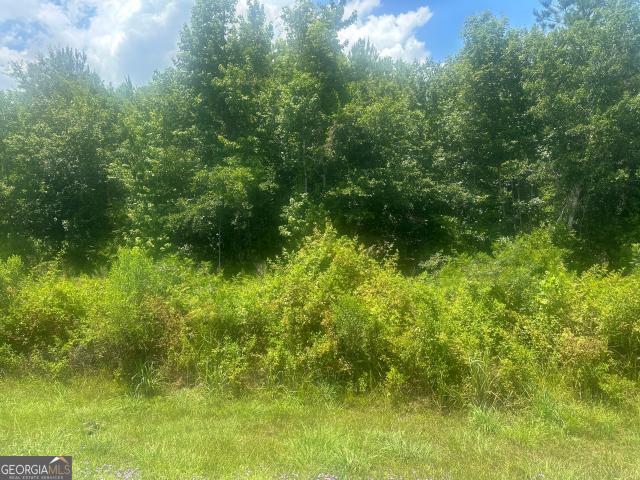 Land for sale in Wadley, Georgia