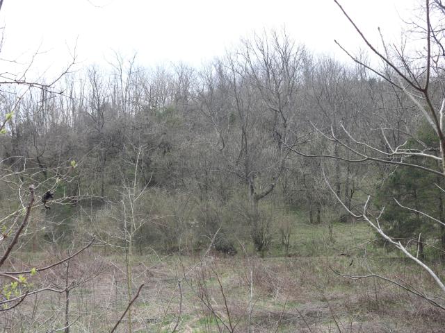 Farm for sale in Carlisle, Kentucky