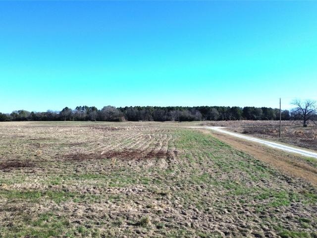 Land for sale in Lovelady, Texas