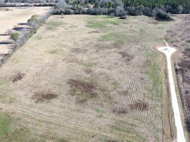 Land for sale in Lovelady, Houston County