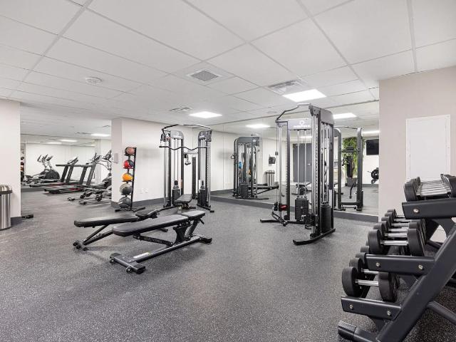 Apartment for rent in Durham, Ontario