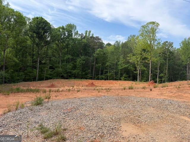 Land for sale in Forsyth, Monroe County