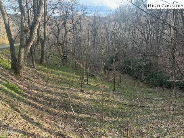 Land for sale in Lansing, North Carolina