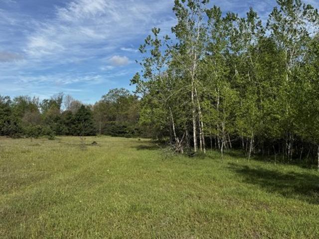 Land for sale in Stanwood, Michigan