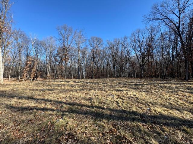 Land for sale in Ham Lake, Minnesota
