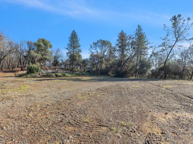 Land for sale in Brownsville, California