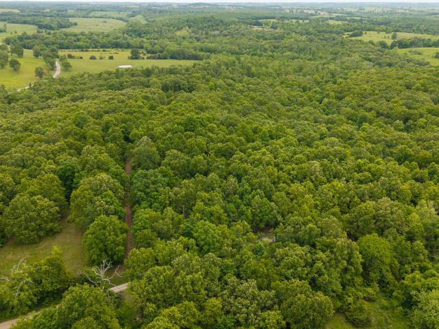 Land for sale in Howell, Missouri