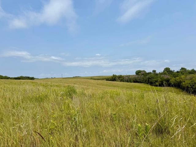 Land for sale in Welch, Minnesota